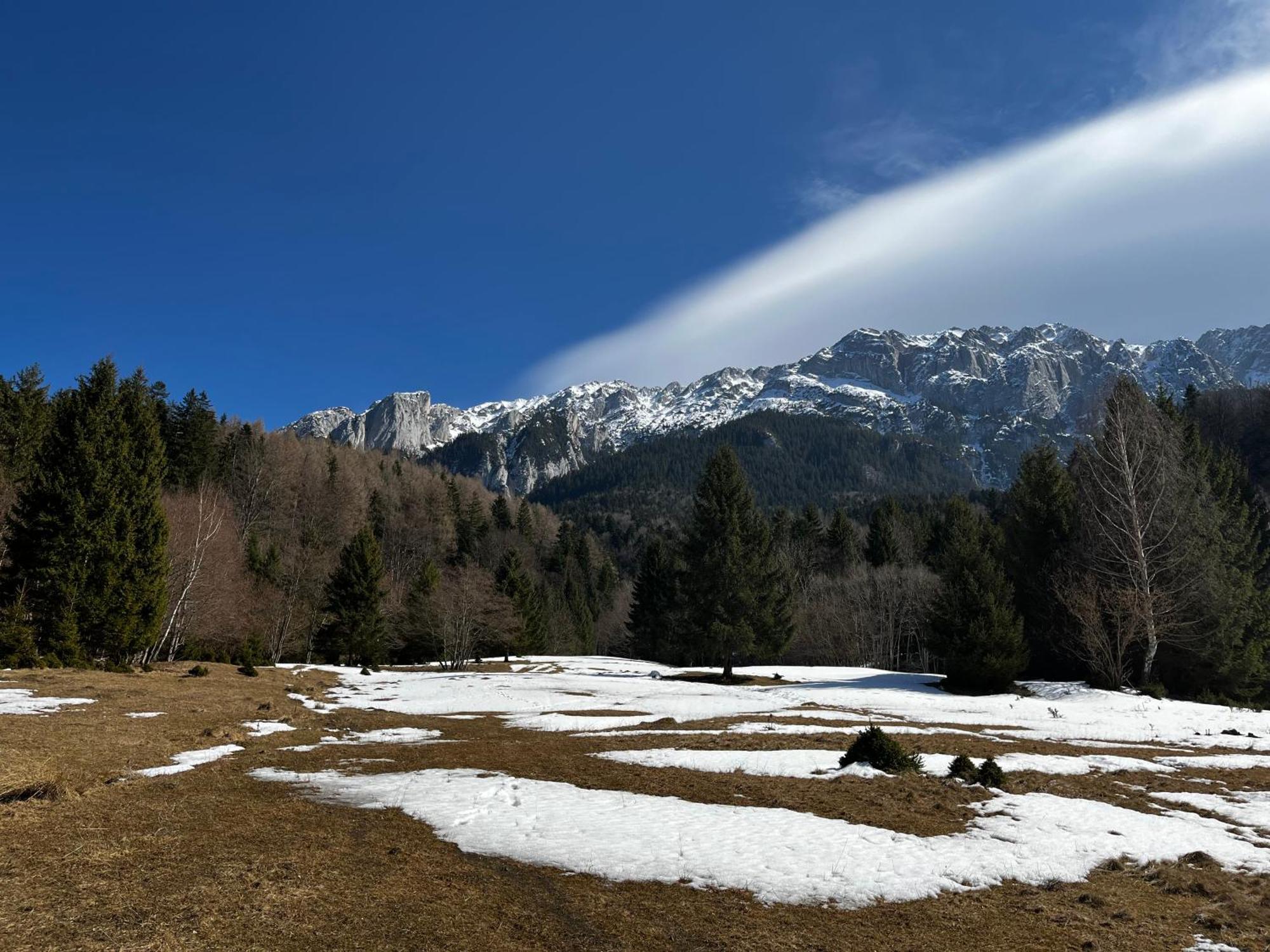 Pensiunea Aliart Zărneşti Exteriér fotografie