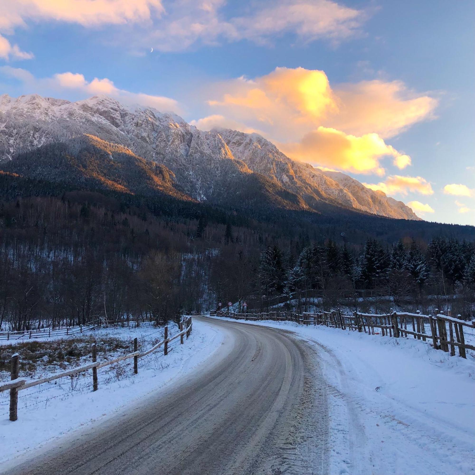 Pensiunea Aliart Zărneşti Exteriér fotografie