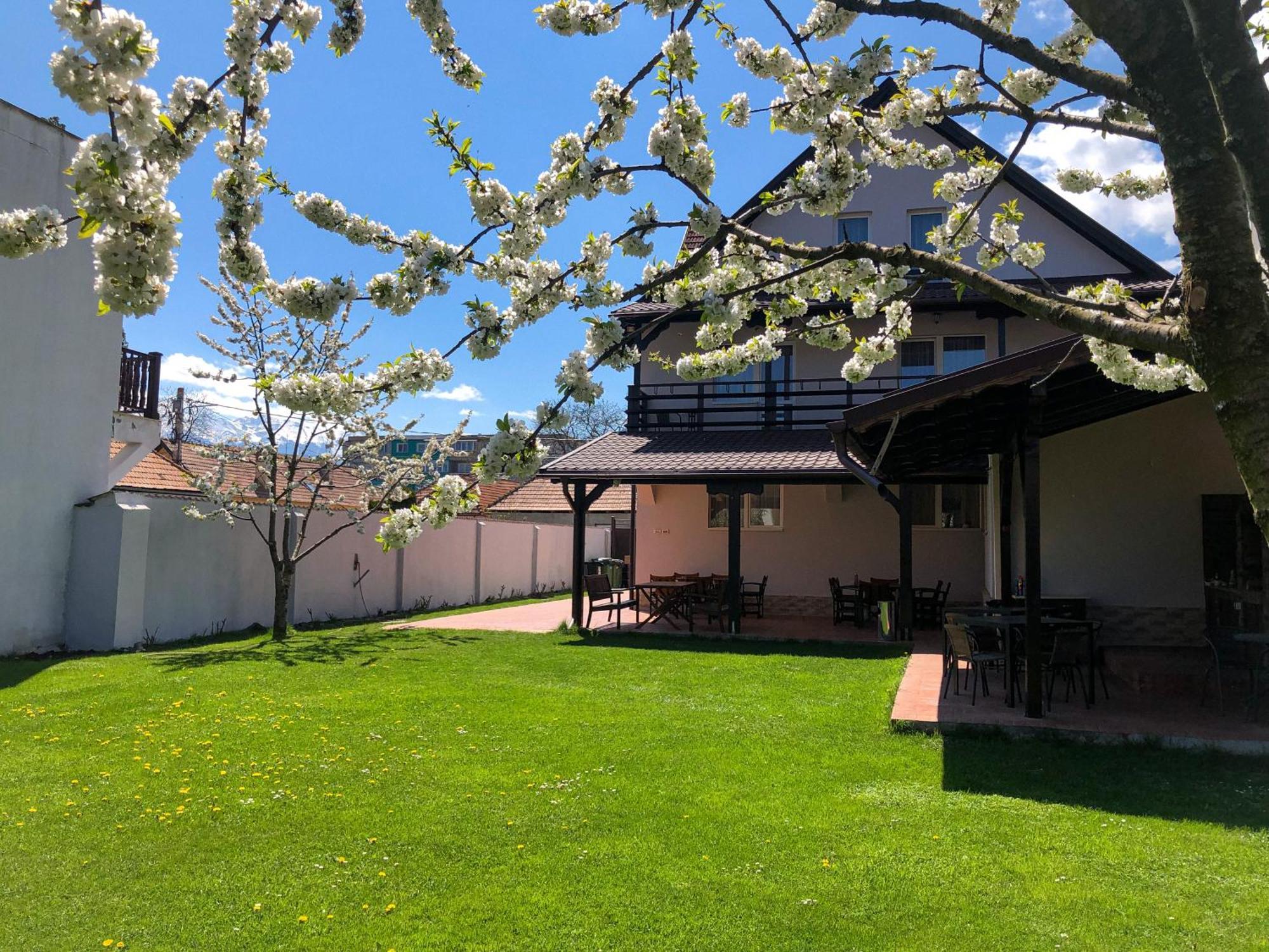 Pensiunea Aliart Zărneşti Exteriér fotografie